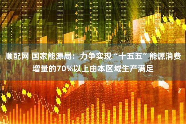 顺配网 国家能源局：力争实现“十五五”能源消费增量的70%以上由本区域生产满足