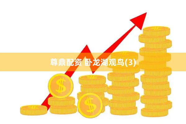 尊鼎配资 卧龙湖观鸟(3)