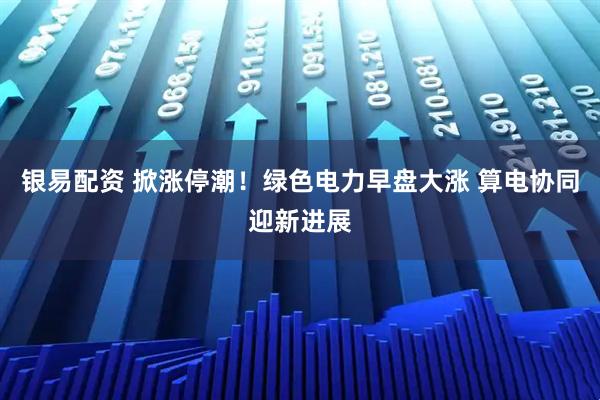 银易配资 掀涨停潮!绿色电力早盘大涨 算电协同迎新进展