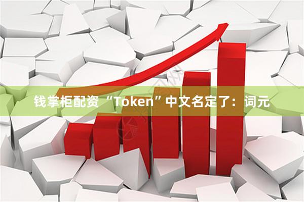 钱掌柜配资 “Token”中文名定了:词元