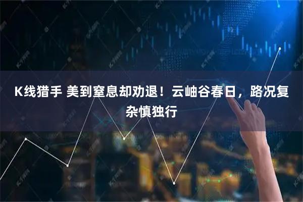 K线猎手 美到窒息却劝退！云岫谷春日，路况复杂慎独行