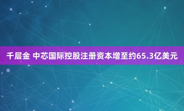 千层金 中芯国际控股注册资本增至约65.3亿美元