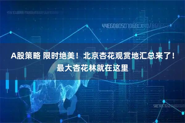A股策略 限时绝美！北京杏花观赏地汇总来了！最大杏花林就在这里