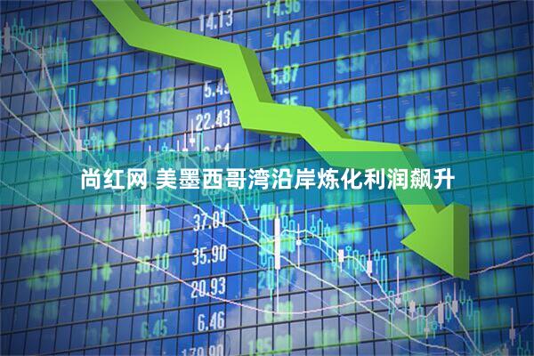 尚红网 美墨西哥湾沿岸炼化利润飙升