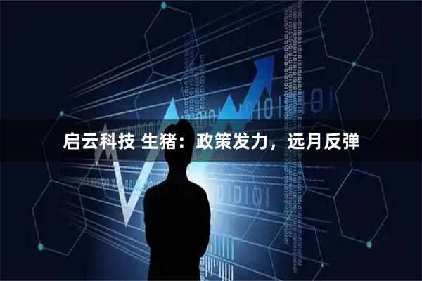 启云科技 生猪：政策发力，远月反弹
