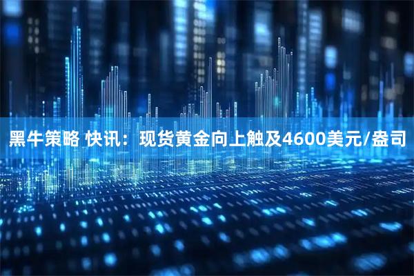 黑牛策略 快讯：现货黄金向上触及4600美元/盎司