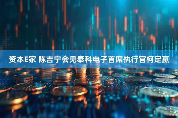 资本E家 陈吉宁会见泰科电子首席执行官柯定赢