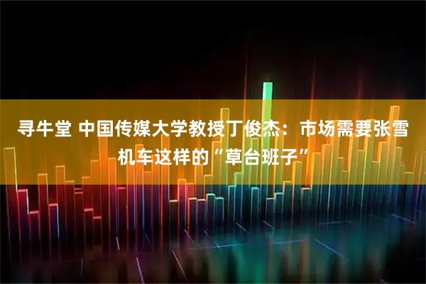 寻牛堂 中国传媒大学教授丁俊杰：市场需要张雪机车这样的“草台班子”