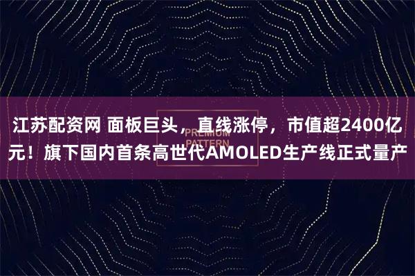 江苏配资网 面板巨头，直线涨停，市值超2400亿元！旗下国内首条高世代AMOLED生产线正式量产